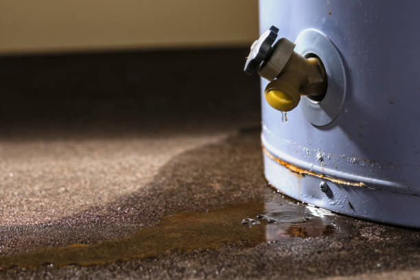 Fort Mohave, AZ Water damage restoration Company